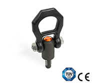 GN 1133-Threaded Lifting Pins